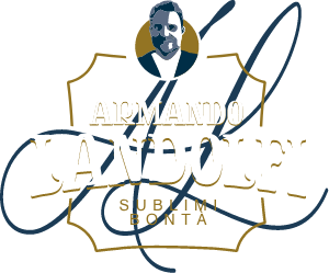 Logo Armando Landolfi